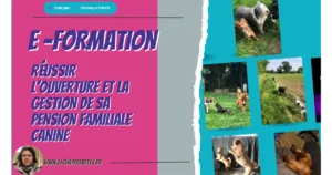 page d'accueil formation ouvrir sa pension familiale canine